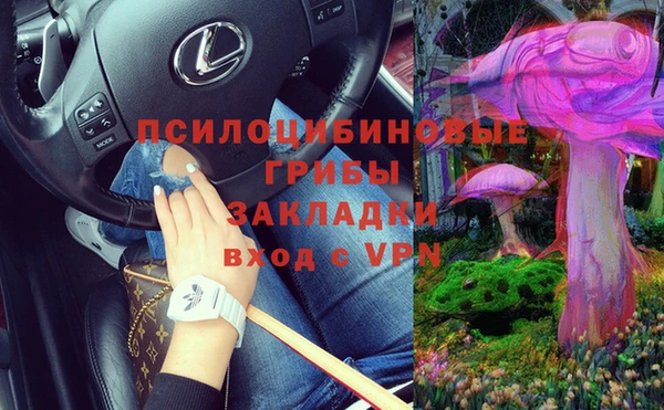 винт Аркадак