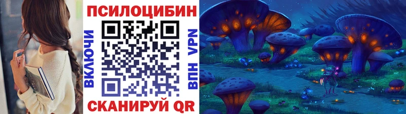 Псилоцибиновые грибы GOLDEN TEACHER  mega ТОР  Оса 